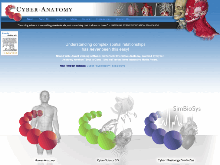 www.cyber-anatomy.com