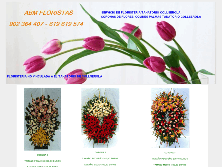 www.floristeriatanatorio.net