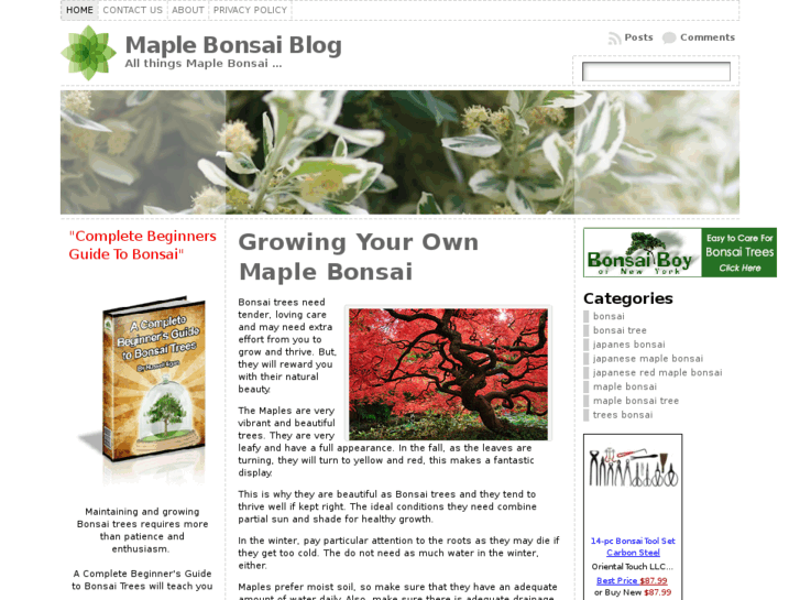 www.maplebonsaiblog.com