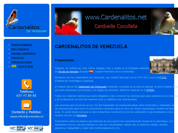 www.cardenalitos.net