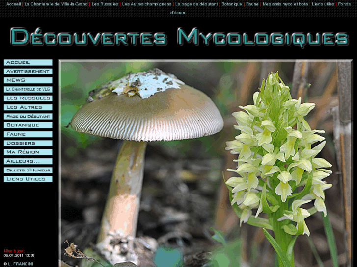 www.francini-mycologie.fr