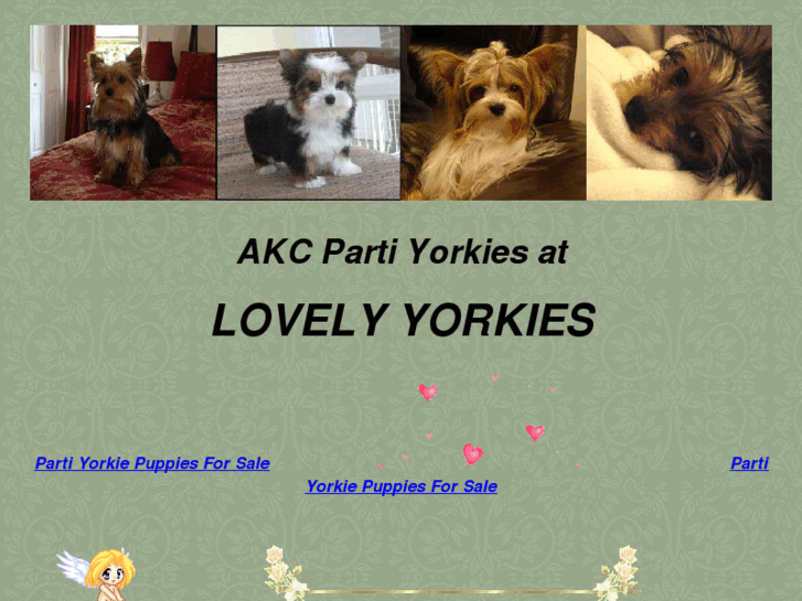 www.lovelyyorkies.com