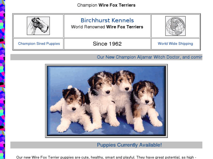 www.wirefox-terriers.com