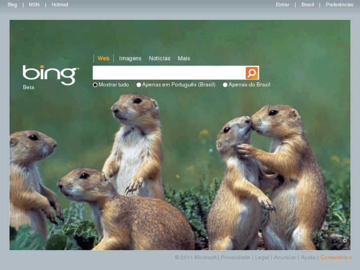 www.bing.com.br