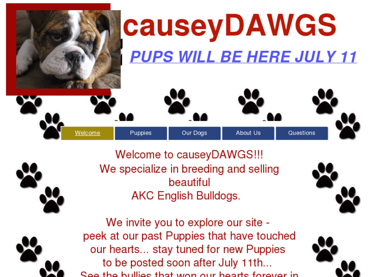 www.causeydawgs.com