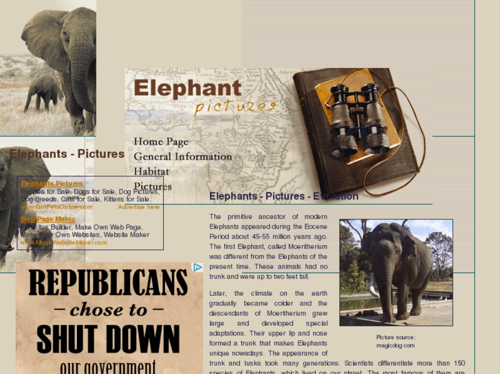 www.elephant-pictures.org