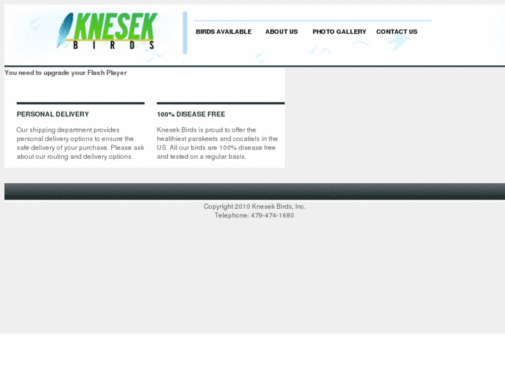 www.knesekbirds.com