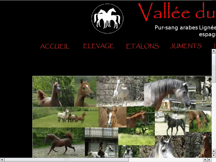 www.valleedubezu.com