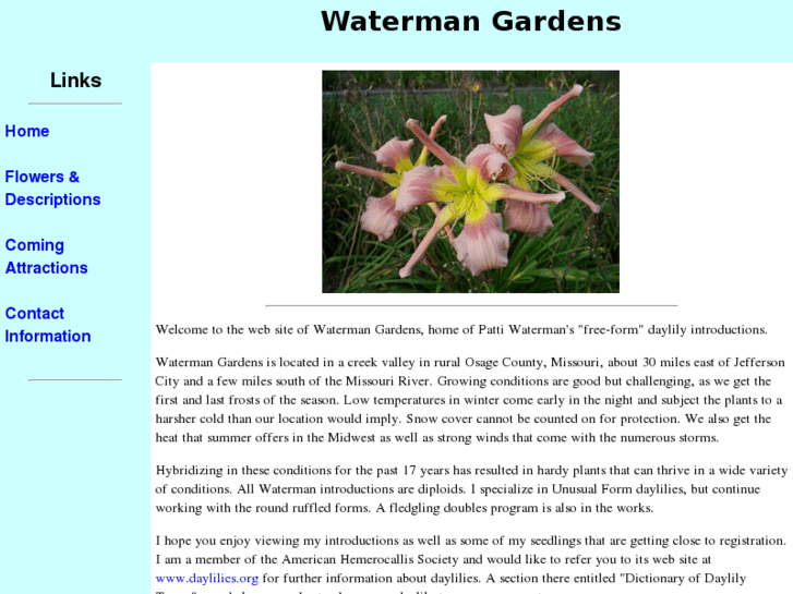 www.watermandaylilies.com