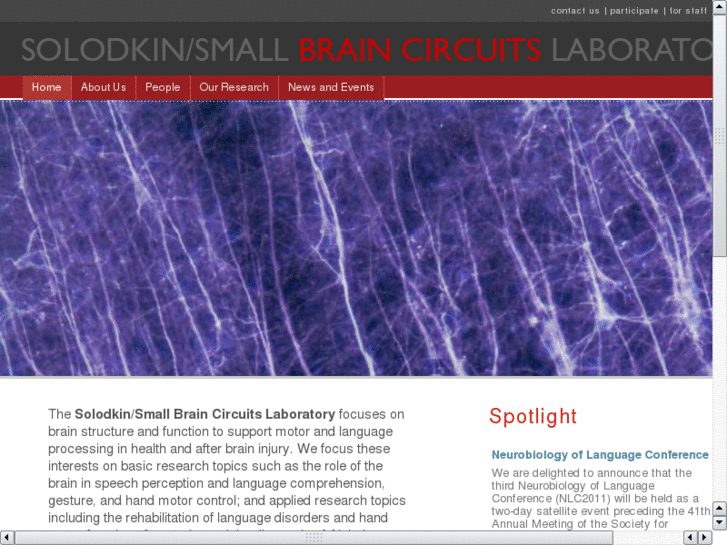www.braincircuits.net