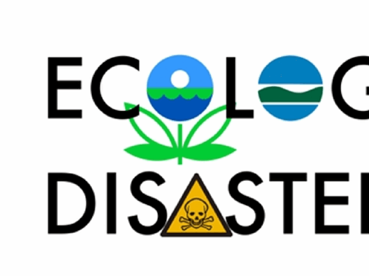 www.ecologicaldisastertours.org