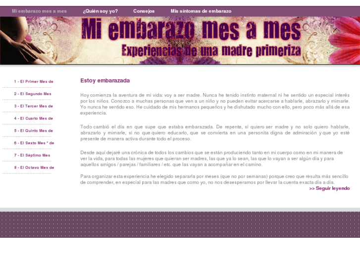 www.estoyembarazada.es