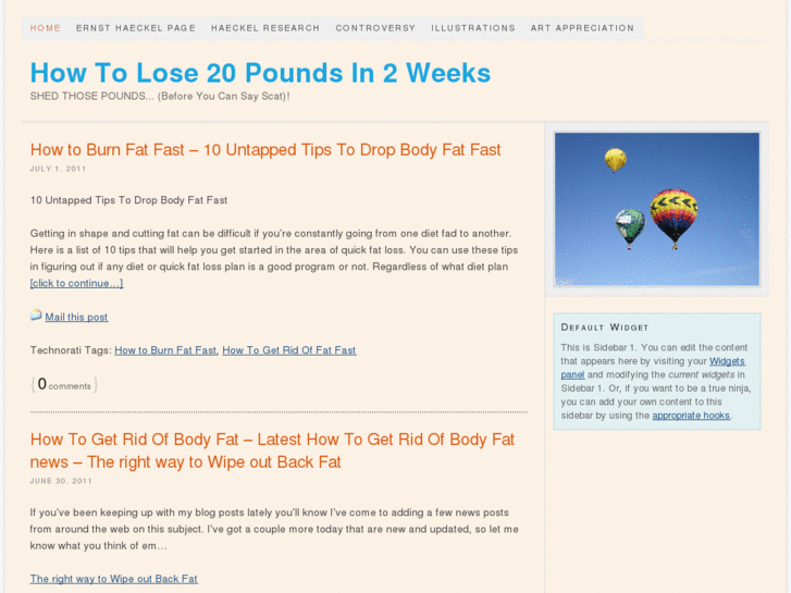 www.howtolose20poundsin2weeks.com