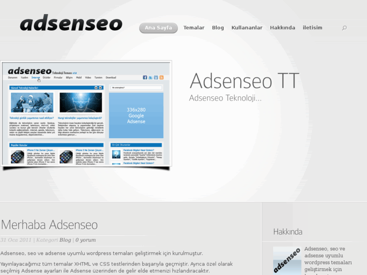 www.adsenseo.net