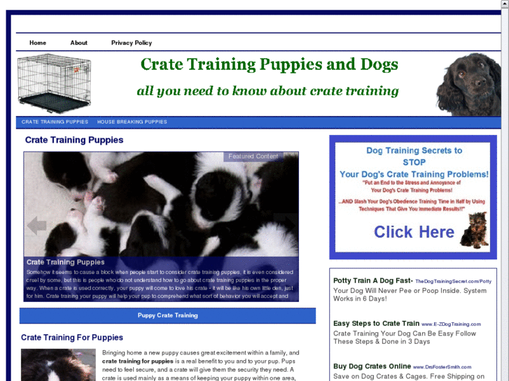 www.cratetrainingpuppies.net