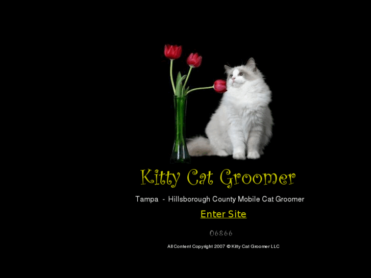 www.kittycatgroomer.com