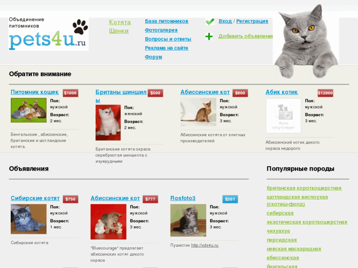 www.pets4u.ru