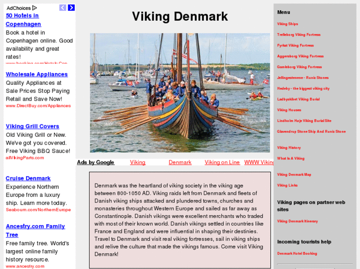 www.vikingdenmark.com