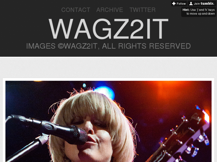 www.wagz2it.com