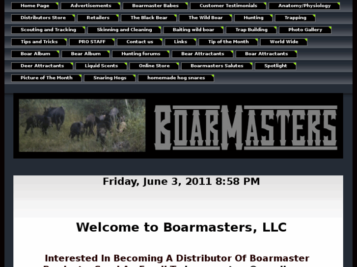 www.boarmasters.com