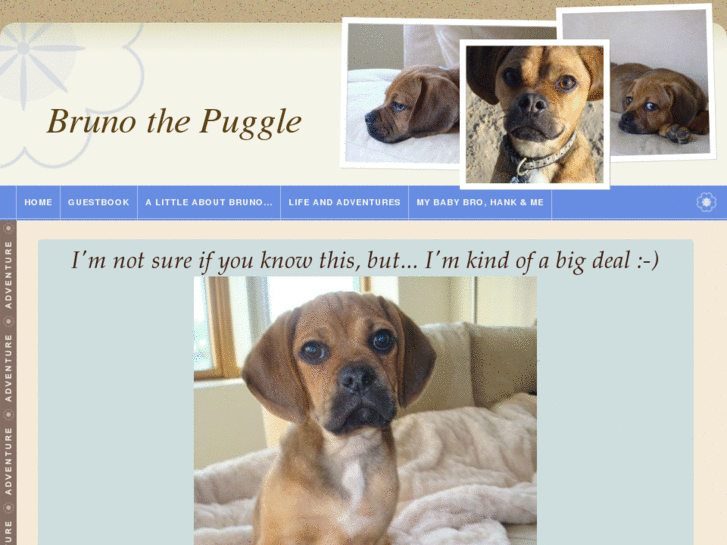 www.brunothepuggle.com