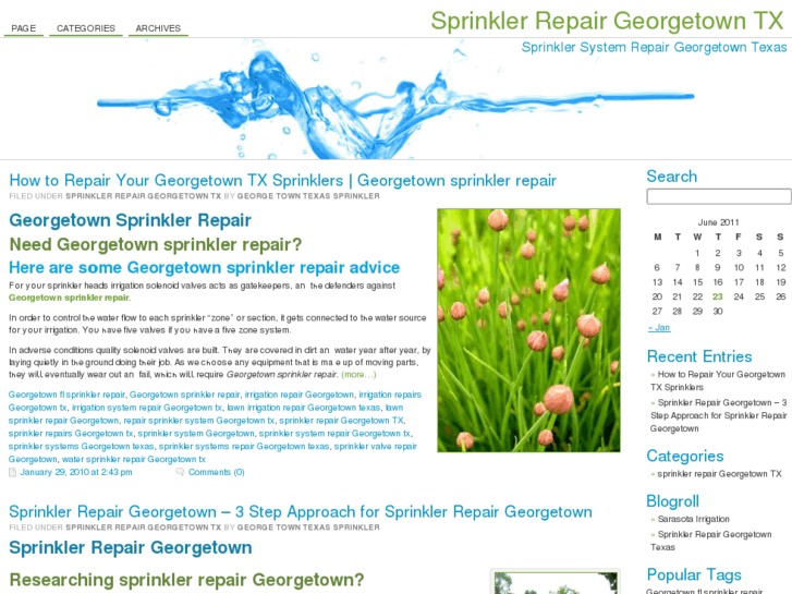 www.georgetowntexassprinkler.com