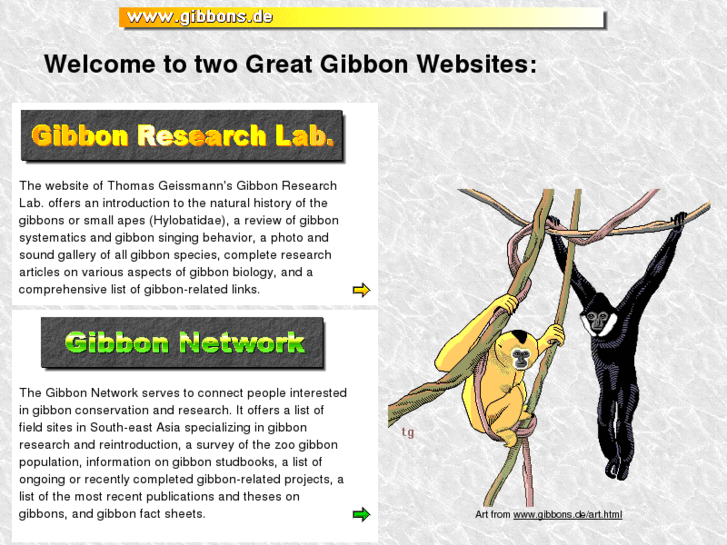 www.gibbons.de