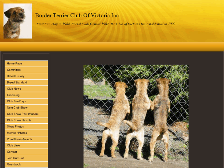 www.borderterrierclubvic.com