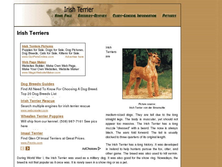 www.irish-terrier-dogs.com