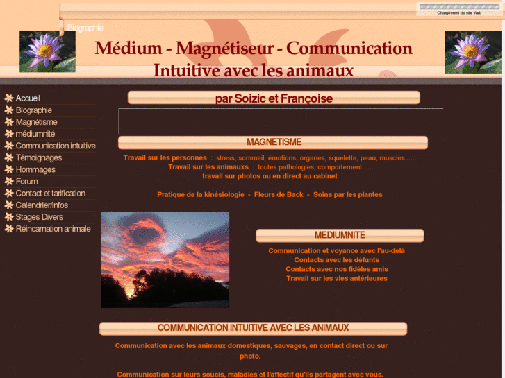 www.magnetiseur-medium-communication-animale.com