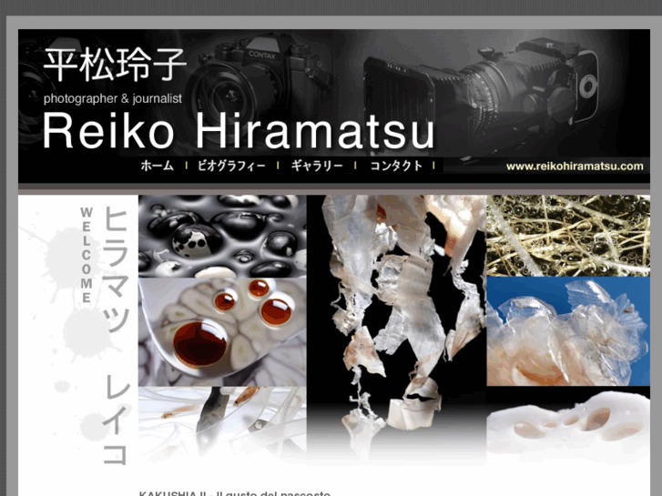 www.reikohiramatsu.com