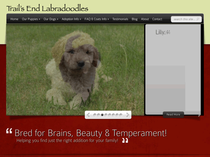 www.trailsendlabradoodles.com