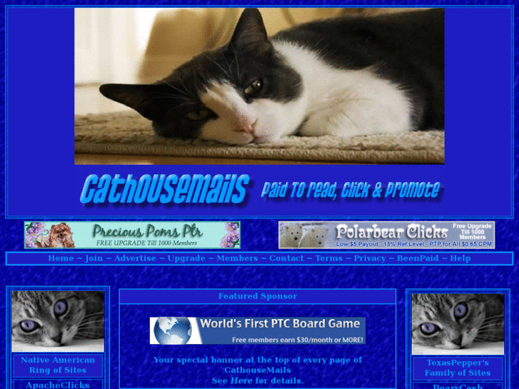 www.cathousemails.com