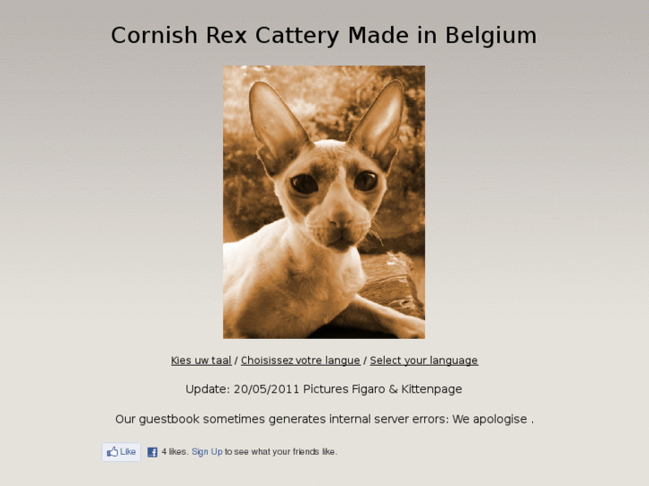 www.catterymadeinbelgium.be