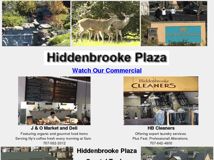 www.hiddenbrookeplaza.com