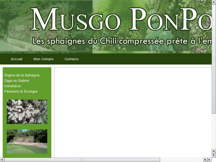 www.musgoponpon.com