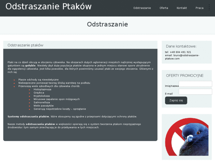 www.odstraszanie-ptakow.com