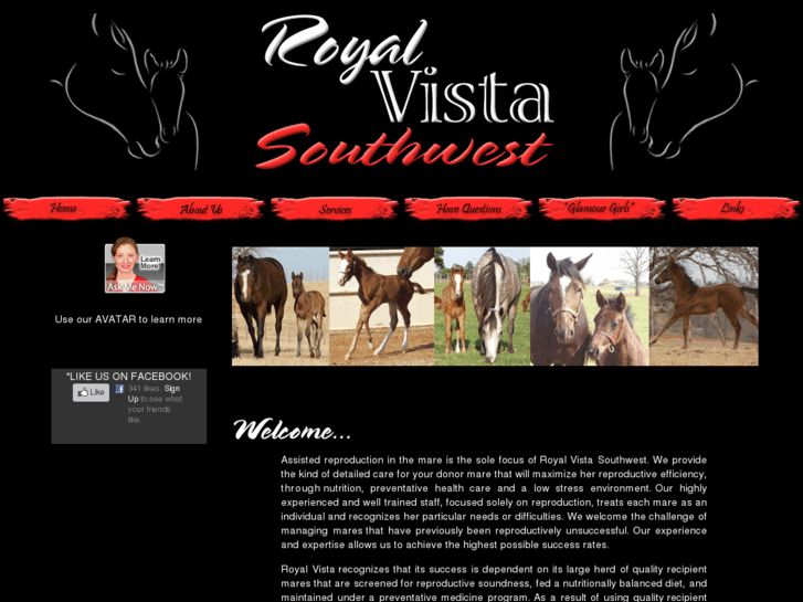 www.royalvistasouthwest.com