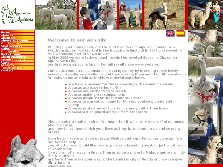 www.alpacasdeandalucia.com