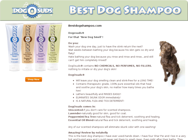 www.bestdogshampoo.com