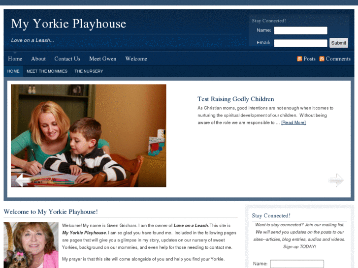 www.myyorkieplayhouse.com