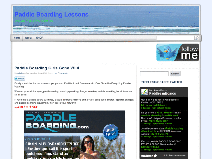 www.paddleboardinglessons.com