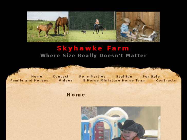 www.skyhawkefarm.com