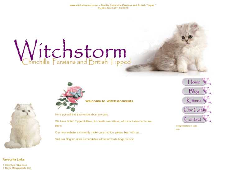 www.witchstormcats.com