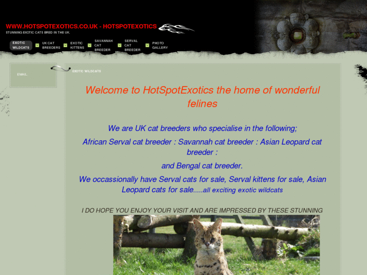 www.hotspotexotics.co.uk