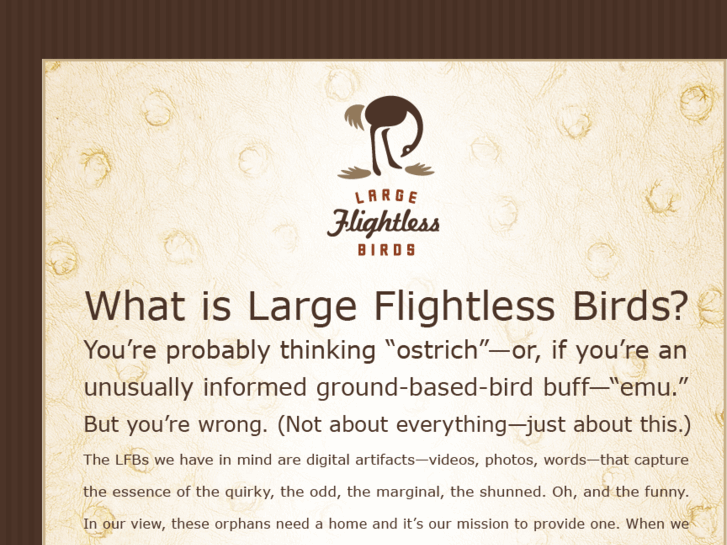 www.largeflightlessbirds.com