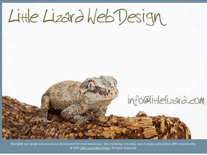 www.littlelizard.com