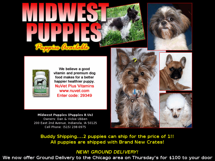 www.midwestpuppies.com