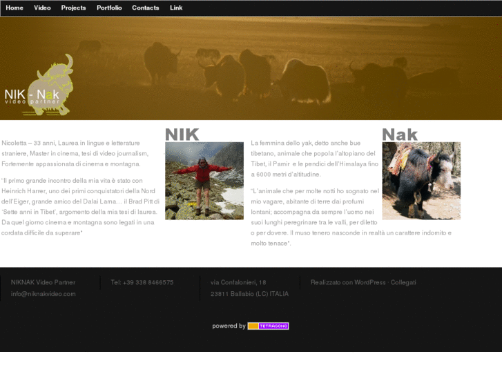www.niknakvideo.com