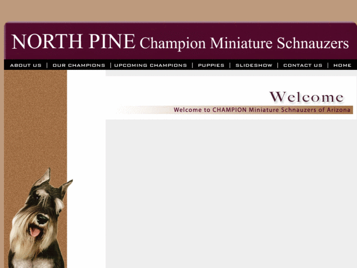 www.northpineschnauzers.com